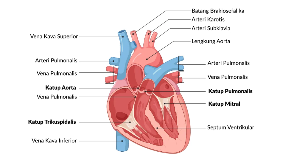 Pojok Rina: Solusi Serba Ada di Jantung Cilacap